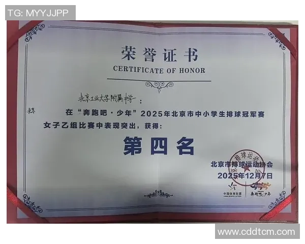 武汉排球队在冠军赛中的个人能力分析与表现评估